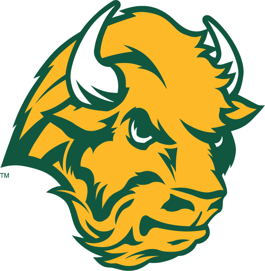 North Dakota State Bison 2006-2012 Secondary Logo diy iron on heat transfer
